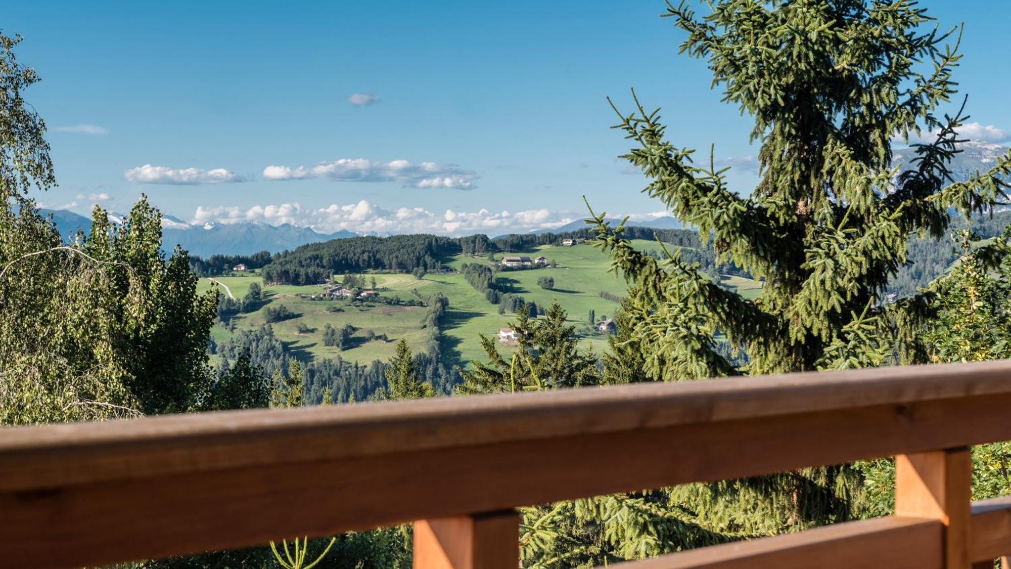 Hotel Peter 4*